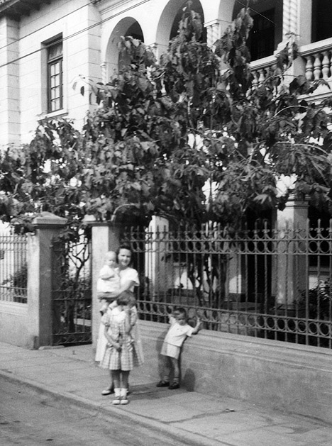 Picture of Janice and three kids, in front of a huge poinsettia tree